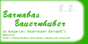 barnabas bauernhuber business card